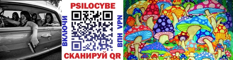Купить где  Славск  Галлюциногенные грибы прущие грибы 