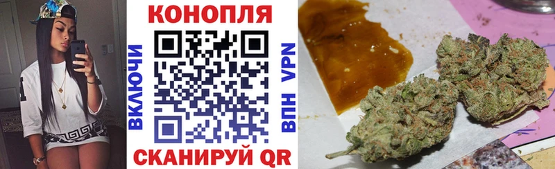 Конопля MAZAR  Купить где  Славск 